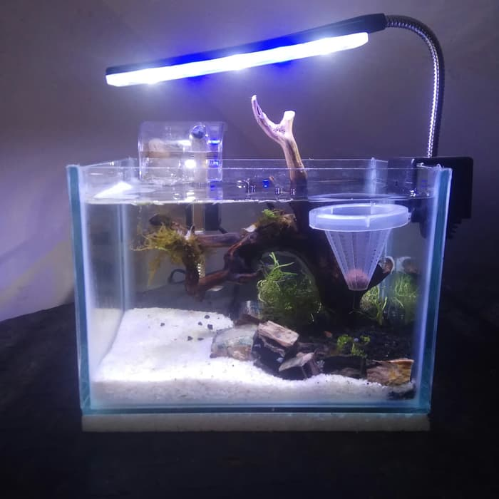 Contoh Meja Aquarium Besi, Inspirasi Meja Aquarium Besi, Contoh Inspirasi Meja Aquarium Besi, Contoh Ide Meja Aquarium Besi, Ide Meja Aquarium Besi, Bentuk Meja Aquarium Besi, Referensi Meja Aquarium Besi