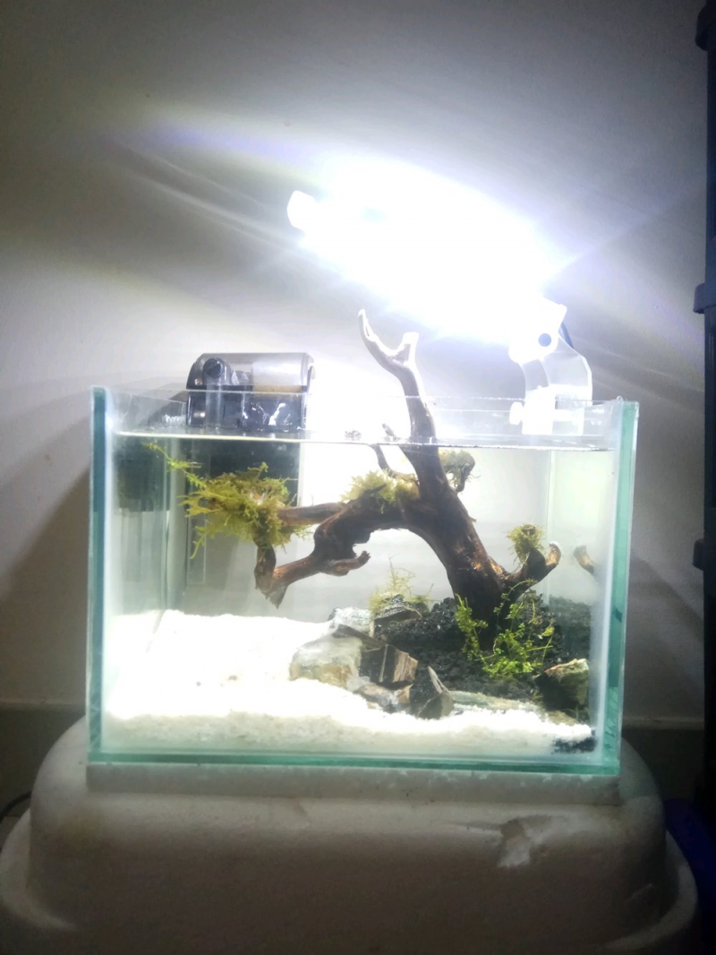 Contoh Meja Aquarium Besi, Inspirasi Meja Aquarium Besi, Contoh Inspirasi Meja Aquarium Besi, Contoh Ide Meja Aquarium Besi, Ide Meja Aquarium Besi, Bentuk Meja Aquarium Besi, Referensi Meja Aquarium Besi