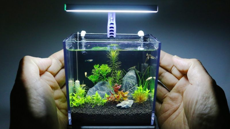 Contoh Meja Aquarium Besi, Inspirasi Meja Aquarium Besi, Contoh Inspirasi Meja Aquarium Besi, Contoh Ide Meja Aquarium Besi, Ide Meja Aquarium Besi, Bentuk Meja Aquarium Besi, Referensi Meja Aquarium Besi