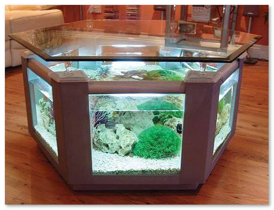 Contoh Meja Aquarium Besi, Inspirasi Meja Aquarium Besi, Contoh Inspirasi Meja Aquarium Besi, Contoh Ide Meja Aquarium Besi, Ide Meja Aquarium Besi, Bentuk Meja Aquarium Besi, Referensi Meja Aquarium Besi