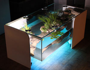 Contoh Meja Aquarium Besi, Inspirasi Meja Aquarium Besi, Contoh Inspirasi Meja Aquarium Besi, Contoh Ide Meja Aquarium Besi, Ide Meja Aquarium Besi, Bentuk Meja Aquarium Besi, Referensi Meja Aquarium Besi