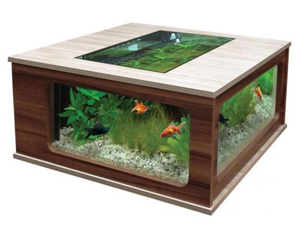 Contoh Meja Aquarium Besi, Inspirasi Meja Aquarium Besi, Contoh Inspirasi Meja Aquarium Besi, Contoh Ide Meja Aquarium Besi, Ide Meja Aquarium Besi, Bentuk Meja Aquarium Besi, Referensi Meja Aquarium Besi