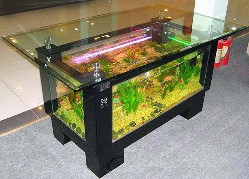 Contoh Meja Aquarium Besi, Inspirasi Meja Aquarium Besi, Contoh Inspirasi Meja Aquarium Besi, Contoh Ide Meja Aquarium Besi, Ide Meja Aquarium Besi, Bentuk Meja Aquarium Besi, Referensi Meja Aquarium Besi