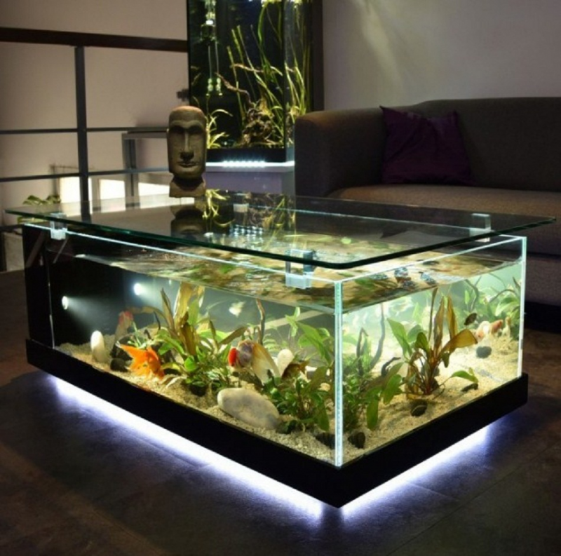 Contoh Meja Aquarium Besi, Inspirasi Meja Aquarium Besi, Contoh Inspirasi Meja Aquarium Besi, Contoh Ide Meja Aquarium Besi, Ide Meja Aquarium Besi, Bentuk Meja Aquarium Besi, Referensi Meja Aquarium Besi