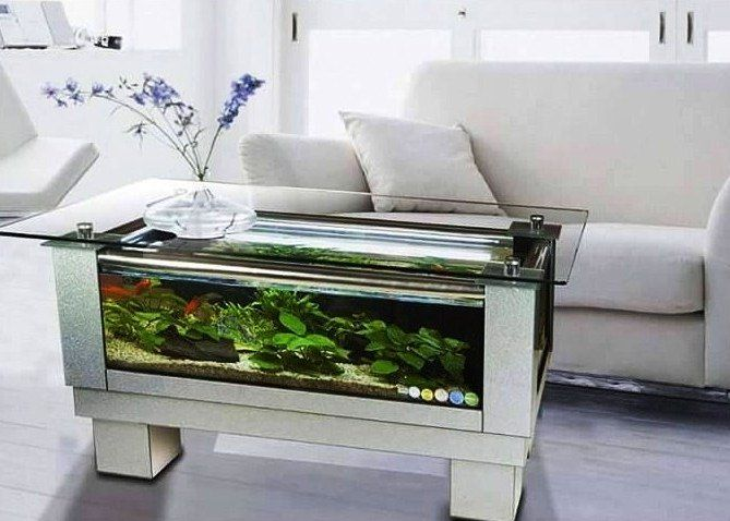 Contoh Meja Aquarium Besi, Inspirasi Meja Aquarium Besi, Contoh Inspirasi Meja Aquarium Besi, Contoh Ide Meja Aquarium Besi, Ide Meja Aquarium Besi, Bentuk Meja Aquarium Besi, Referensi Meja Aquarium Besi