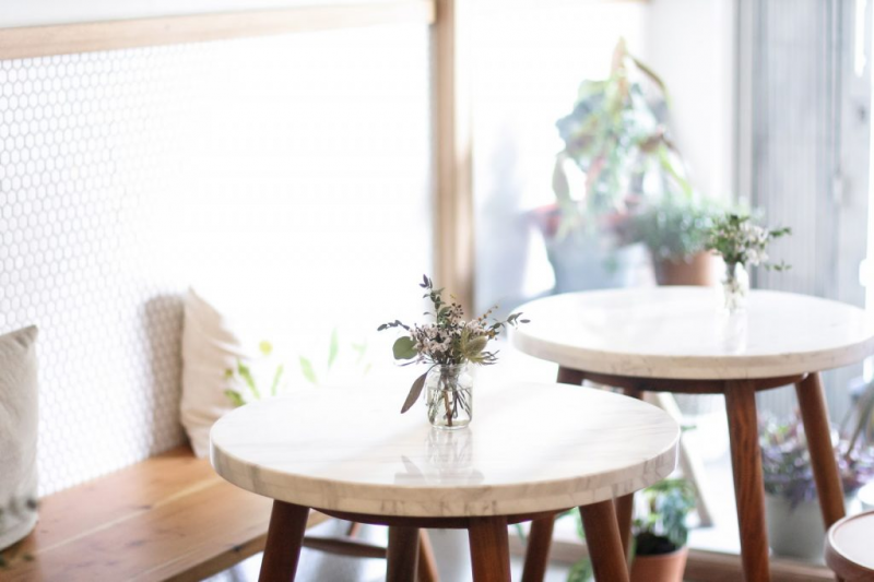 Tanaman Hias Dekorasi Cafe