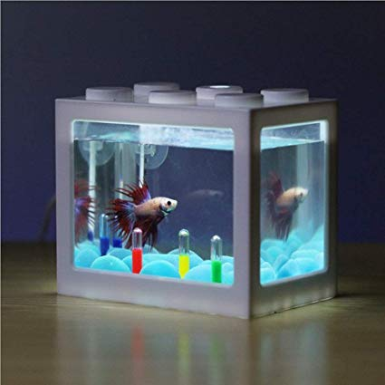 Mempersiapkan Alat dan Bahan Untuk Membuat Aquarium Mini