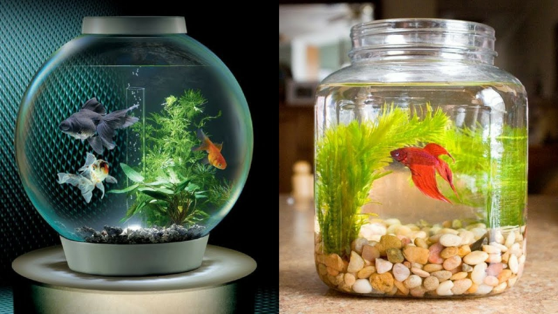 Contoh Aquarium Mini, Inspirasi Aquarium Mini, Contoh Inspirasi Aquarium Mini, Contoh Ide Aquarium Mini, Ide Aquarium Mini, Bentuk Aquarium Mini, Referensi Aquarium Mini