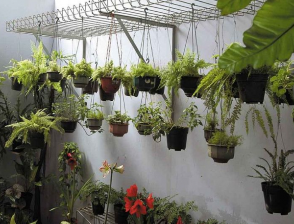 Taman Minimalis Belakang Rumah yang Sempit