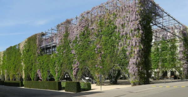 Taman Kota dengan Tanaman Vertikal