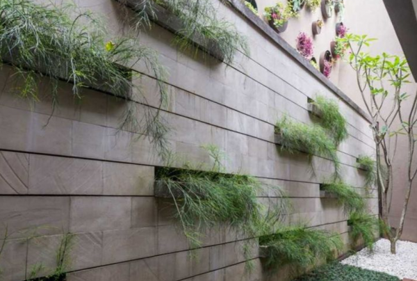 Taman Vertikal Dinding