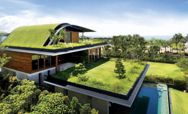 Desain Rooftop dengan Green Roof