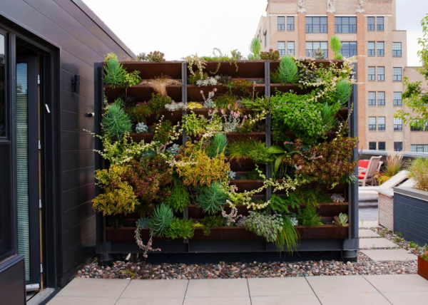 Rooftop dengan Taman Vertikal