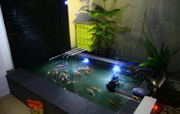 Kolam Ikan Koi dengan Lampu Bawah Air