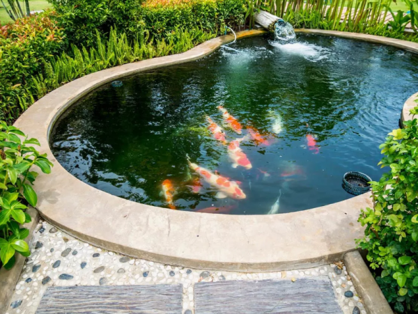 Desain Kolam Ikan Koi di Tengah Taman Kering