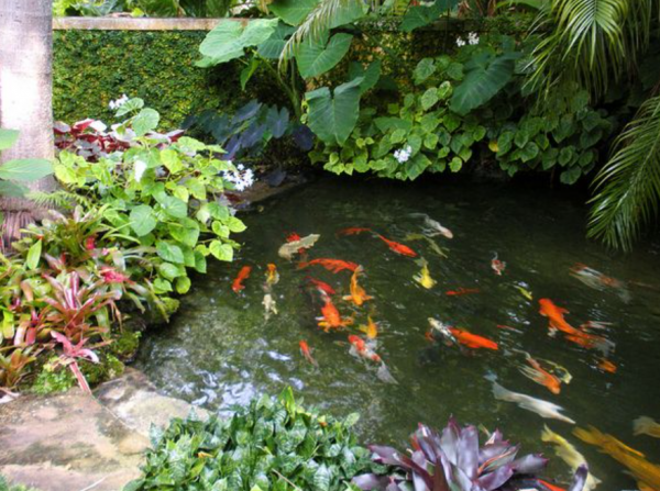 Desain Kolam Ikan Koi dengan Lanskap Tropis