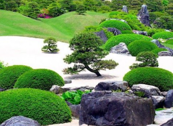 Taman kering dengan pohon bonsai