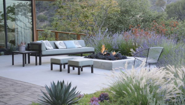 Taman kering dengan pohon-pohon kecil