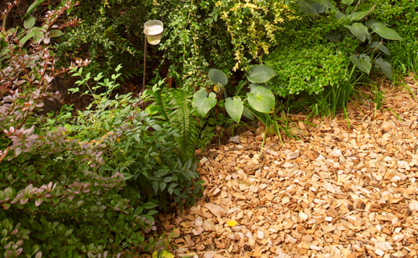 Taman kering dengan potongan-potongan kayu