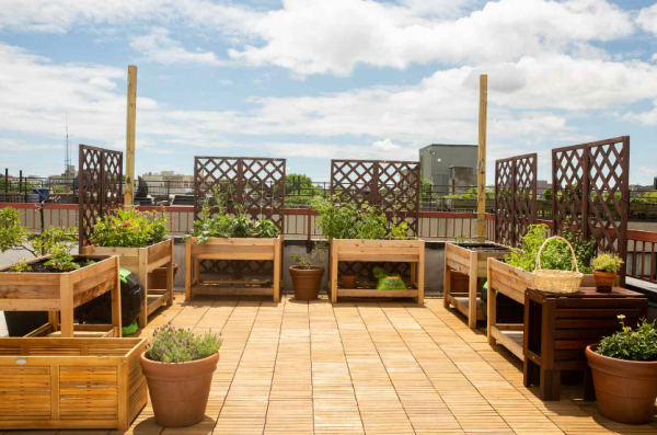 Rooftop dengan taman sayur dan buah-buahan