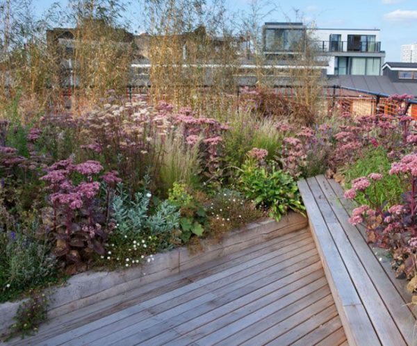 Atap dengan taman kering dan pasir