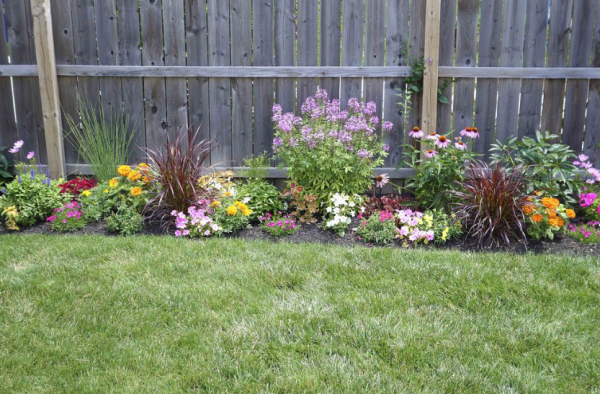 Taman kecil dengan paduan bunga berwarna-warni