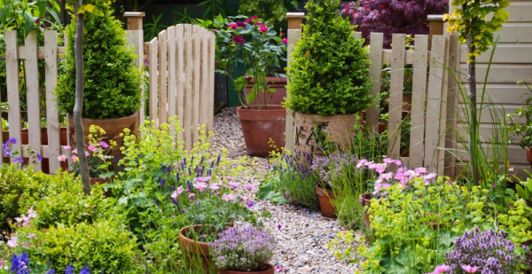 Taman kecil dengan jalur batu di tengahnya