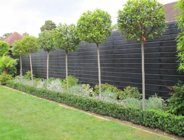 Taman kecil dengan pohon rindang sebagai penghalang pandangan dari jalan