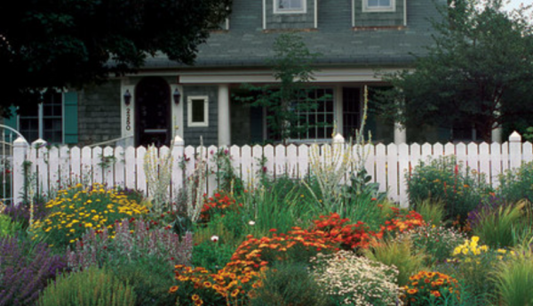Taman kecil dengan taman kering dan pasir