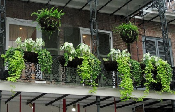 Teras dengan gantungan bunga