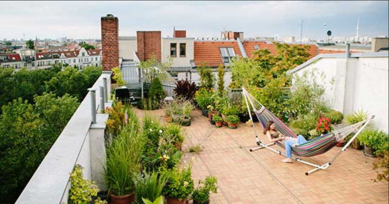 Desain Rumah 3 Lantai dengan Taman Asri