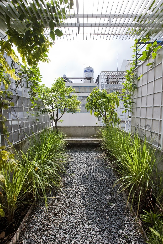 Desain Rumah 3 x 10 Meter dengan Taman kecil didepan rumah