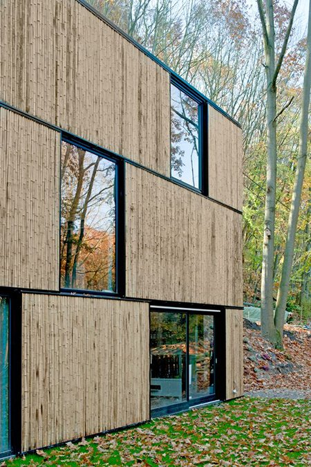 Desain Rumah bambu Bergaya Futuristik