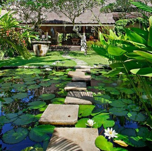 Desain Rumah Bali Dekorasi dengan keasrian tanaman tropis dan kolam