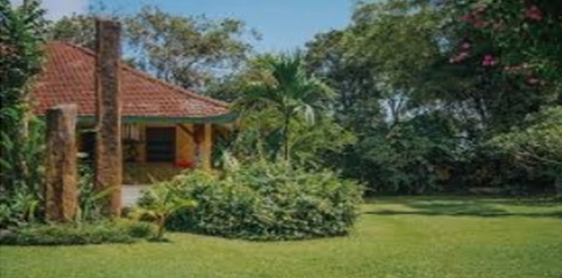 Desain Rumah kampung dengan halaman luas