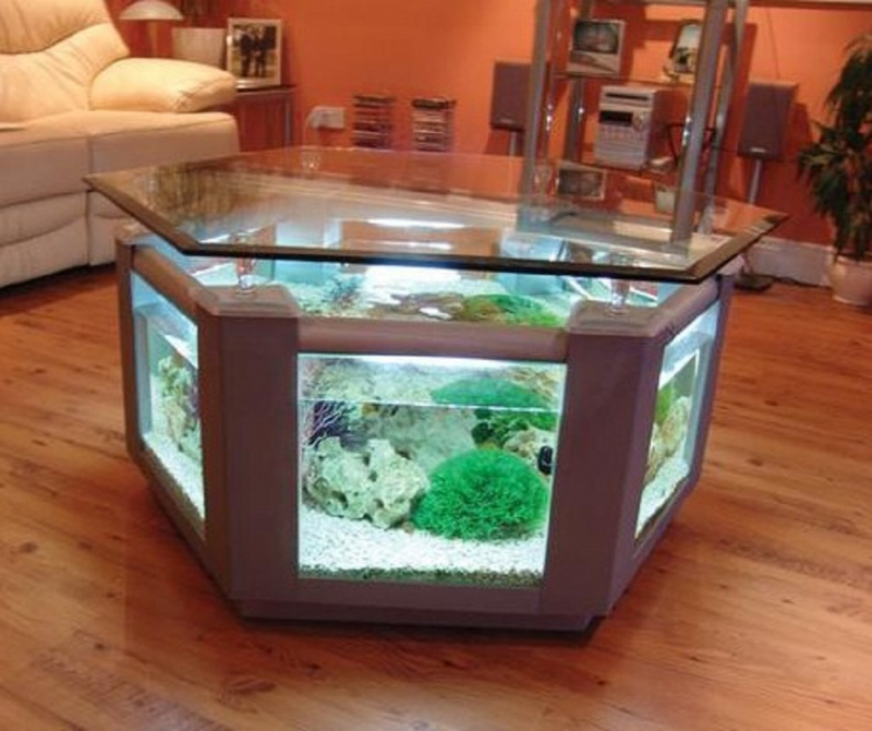 Contoh Desain Meja Aquarium, Inspirasi Desain Meja Aquarium, Contoh Inspirasi Desain Meja Aquarium, Contoh Ide Desain Meja Aquarium, Ide Desain Meja Aquarium, Bentuk Desain Meja Aquarium, Referensi Desain Meja Aquarium