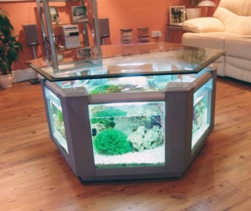 Contoh Desain Meja Aquarium, Inspirasi Desain Meja Aquarium, Contoh Inspirasi Desain Meja Aquarium, Contoh Ide Desain Meja Aquarium, Ide Desain Meja Aquarium, Bentuk Desain Meja Aquarium, Referensi Desain Meja Aquarium