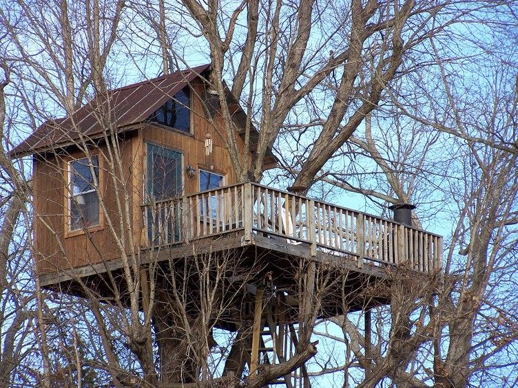 Contoh Desain Rumah Pohon