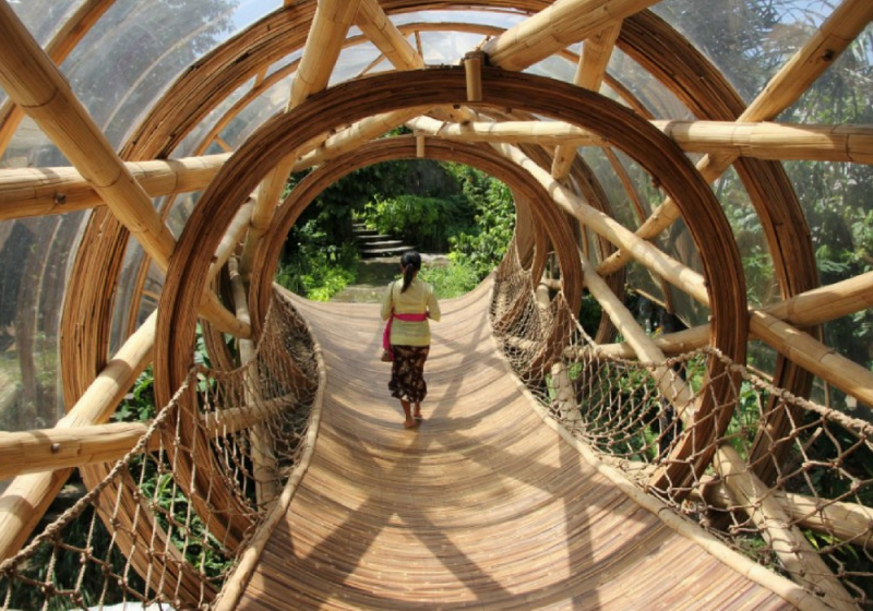 Desain Rumah Pohon Baru