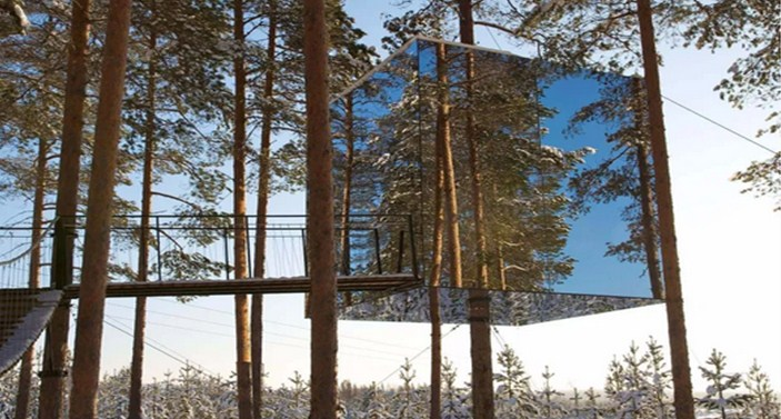 Desain Rumah Pohon Cermin