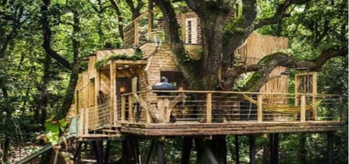 Desain Rumah Pohon Dengan Desain Yang Besar