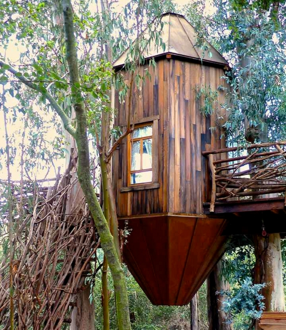 Desain Rumah Pohon Renovasi