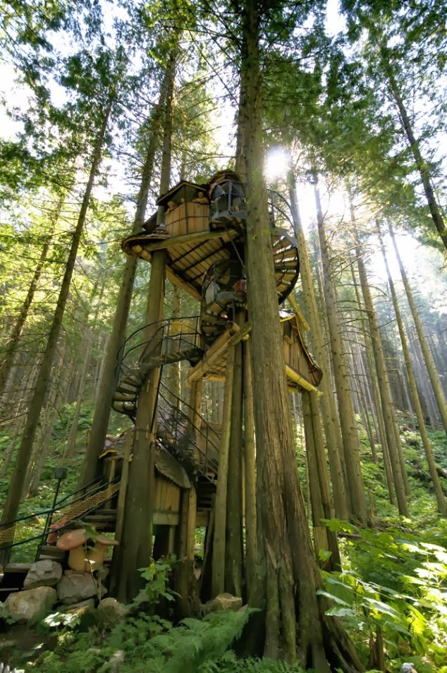 Konsep Desain Rumah Pohon