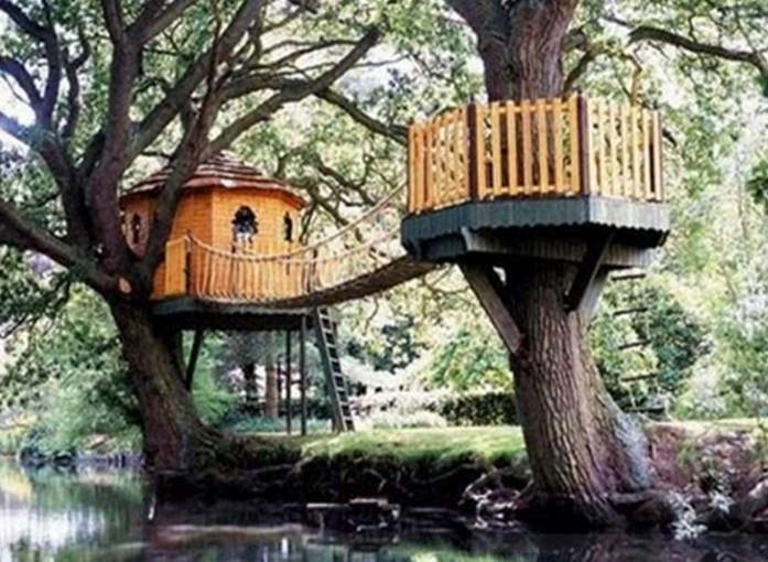 Rumah Pohon Minimalis