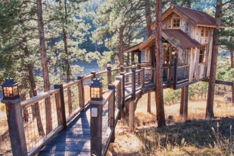 Sketsa Desain Rumah Pohon