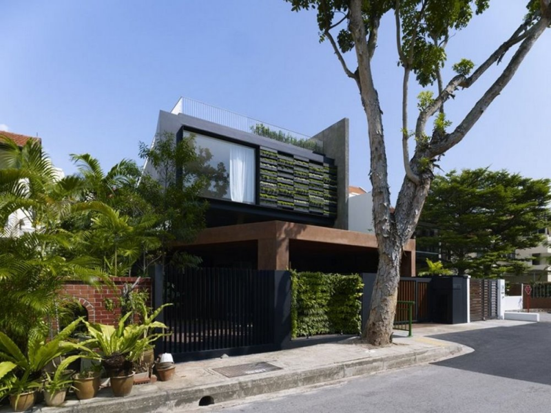 Gambaran Desain Rumah Tropis Minimalis