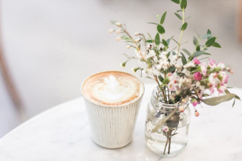 Tanaman aksesoris kafe