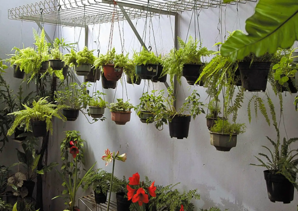 Taman Pot Bunga Gantung