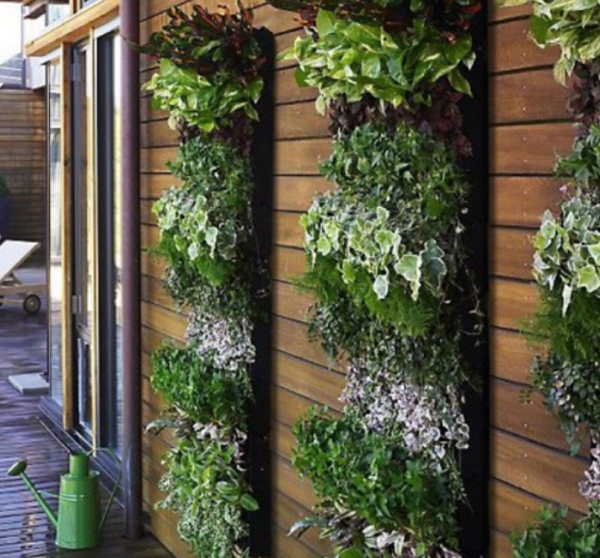Taman Vertikal Dinding