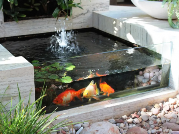 Taman minimalis dengan kolam air mini